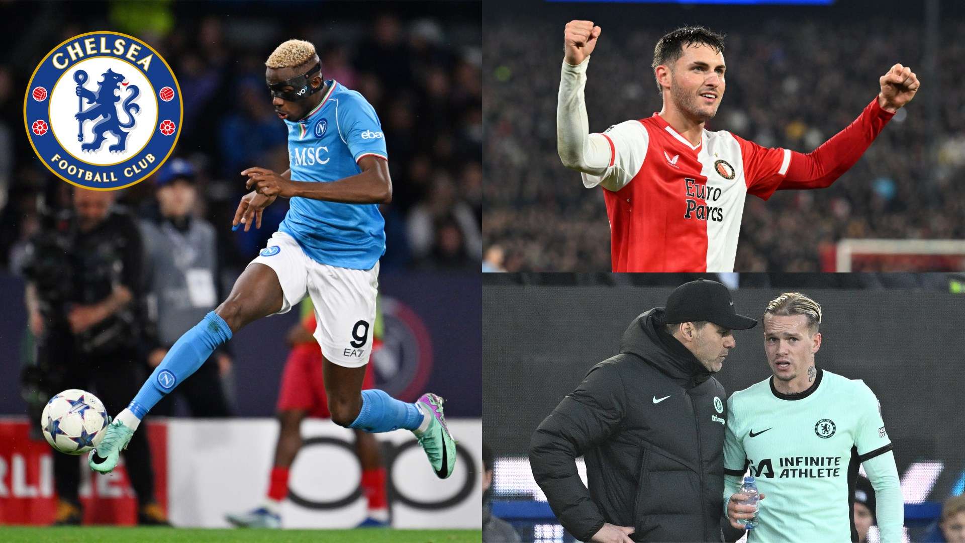 己的位置 己的位置